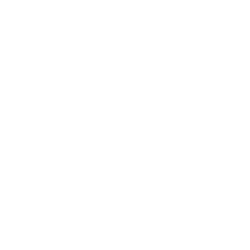 Szpiegul.pl Intelligence Blog